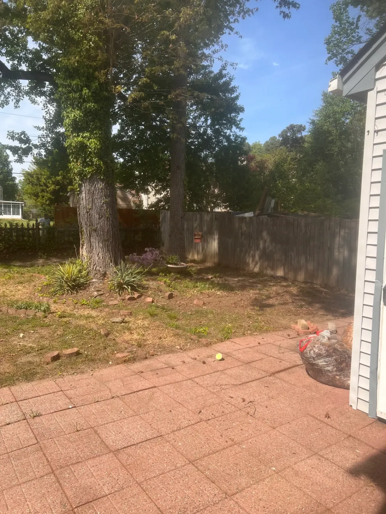 Gallery image 19