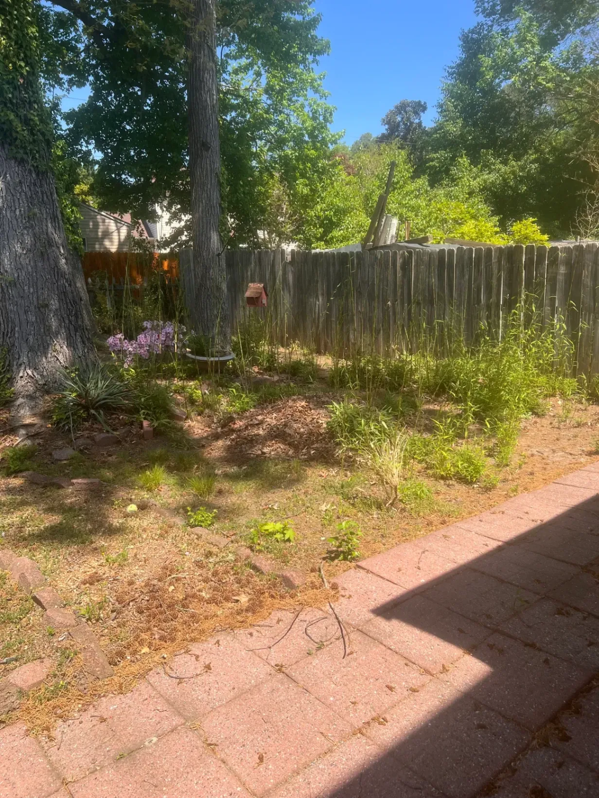 Gallery image 16