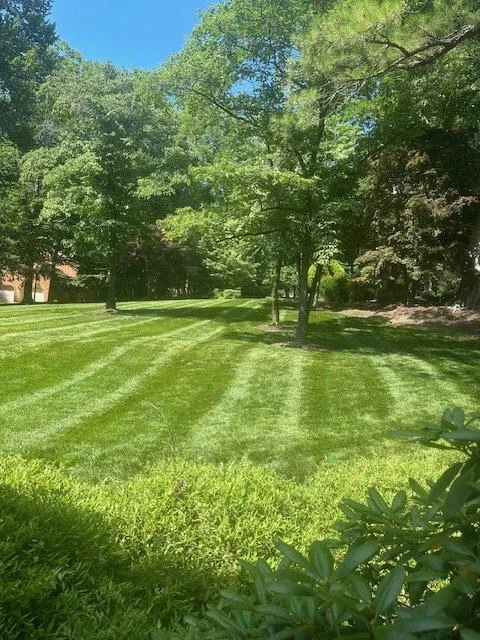 Gallery image 13