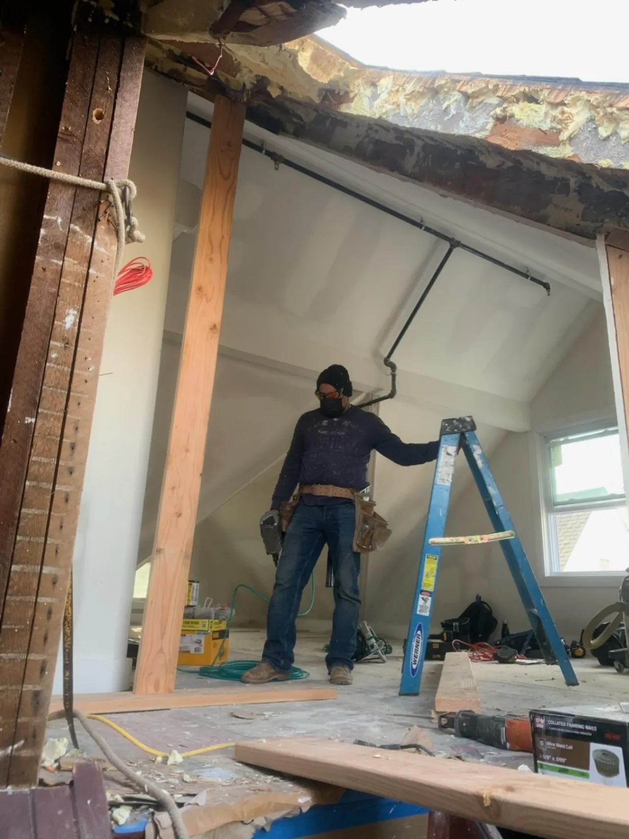Gallery image 13
