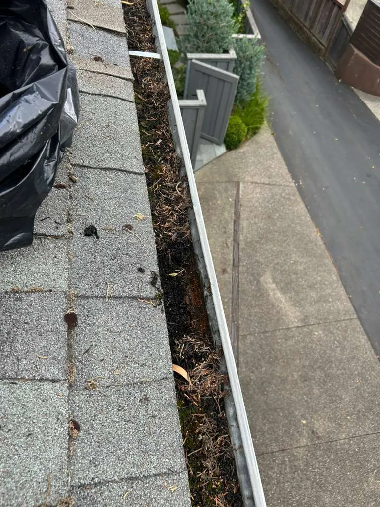 Gallery image 41