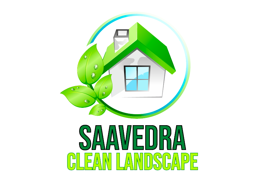 Saavedra Clean Landscape