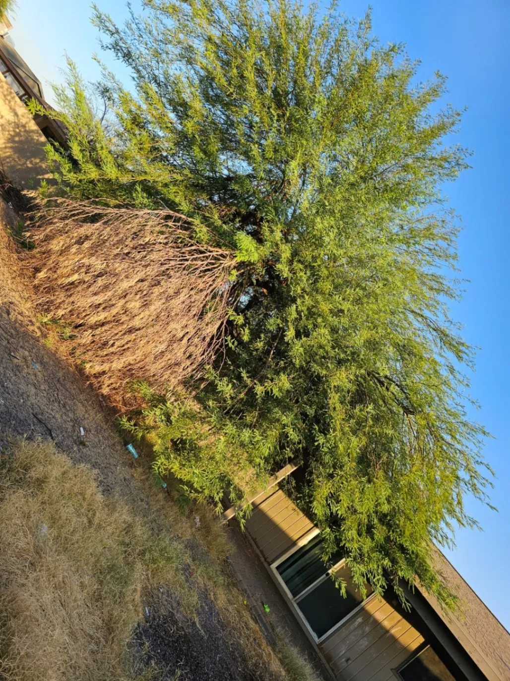 Gallery image 25