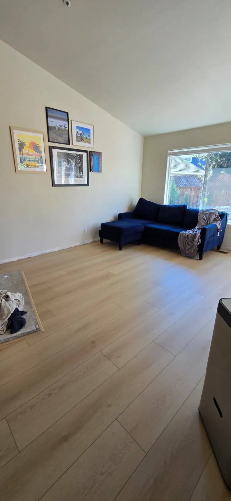 Gallery image 7