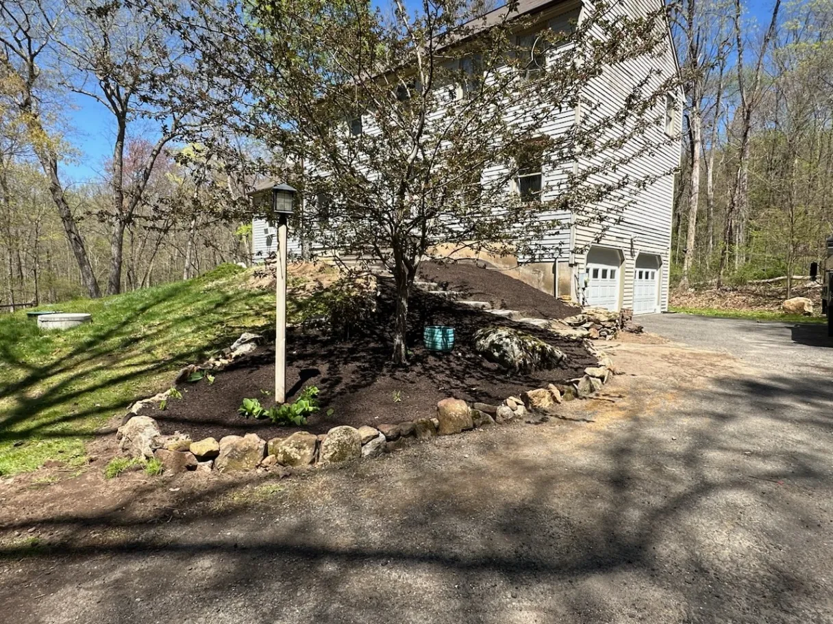 Gallery image 12