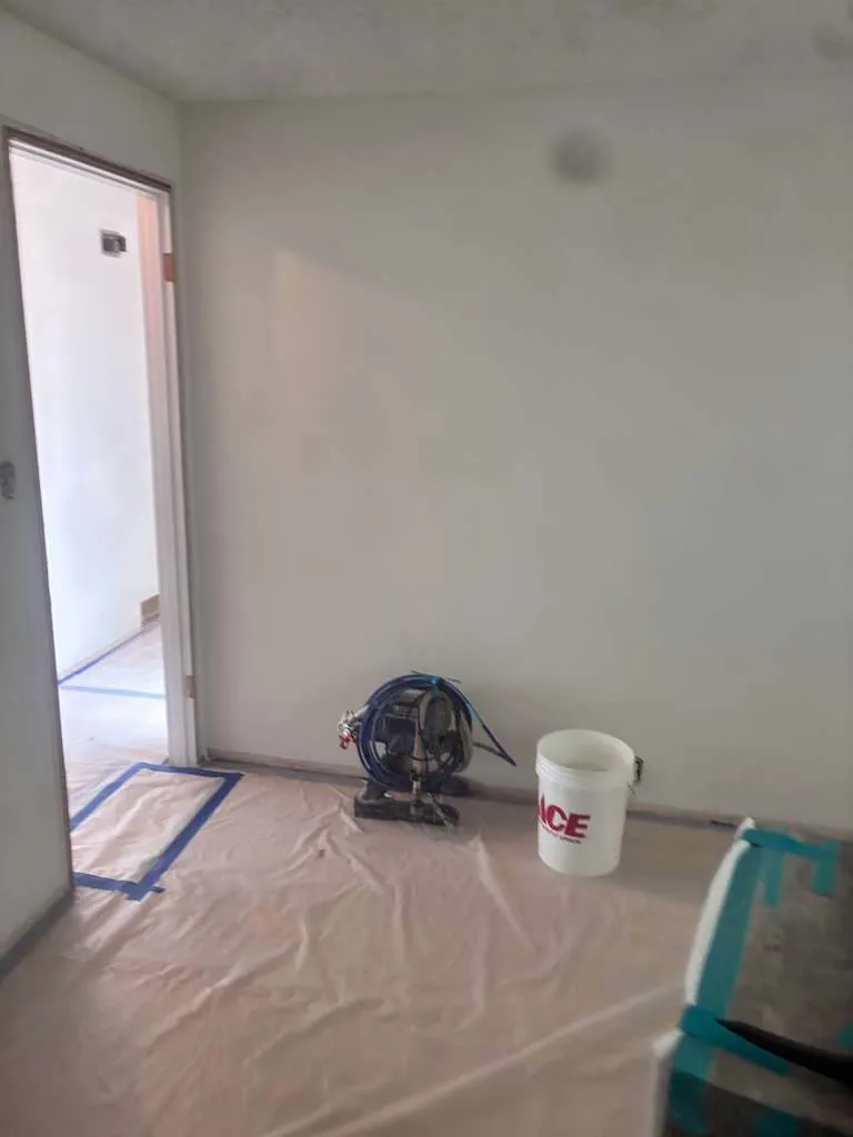 Gallery image 12
