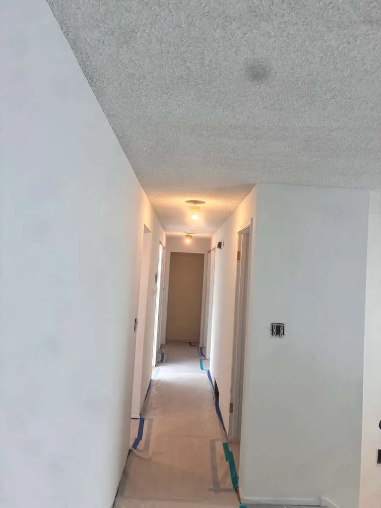 Gallery image 18
