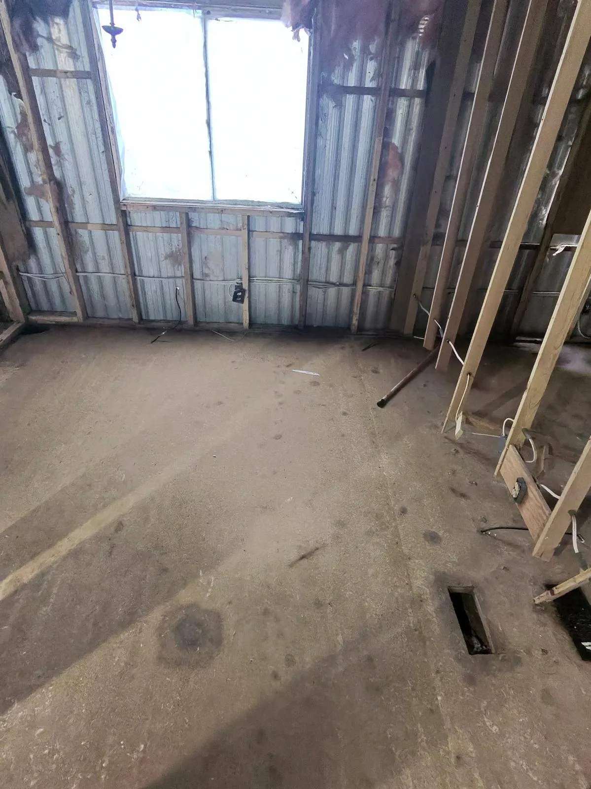 Gallery image 6