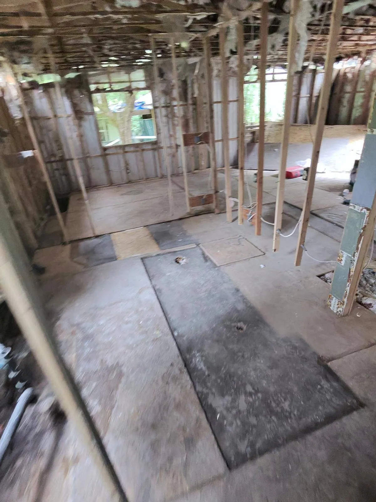 Gallery image 7