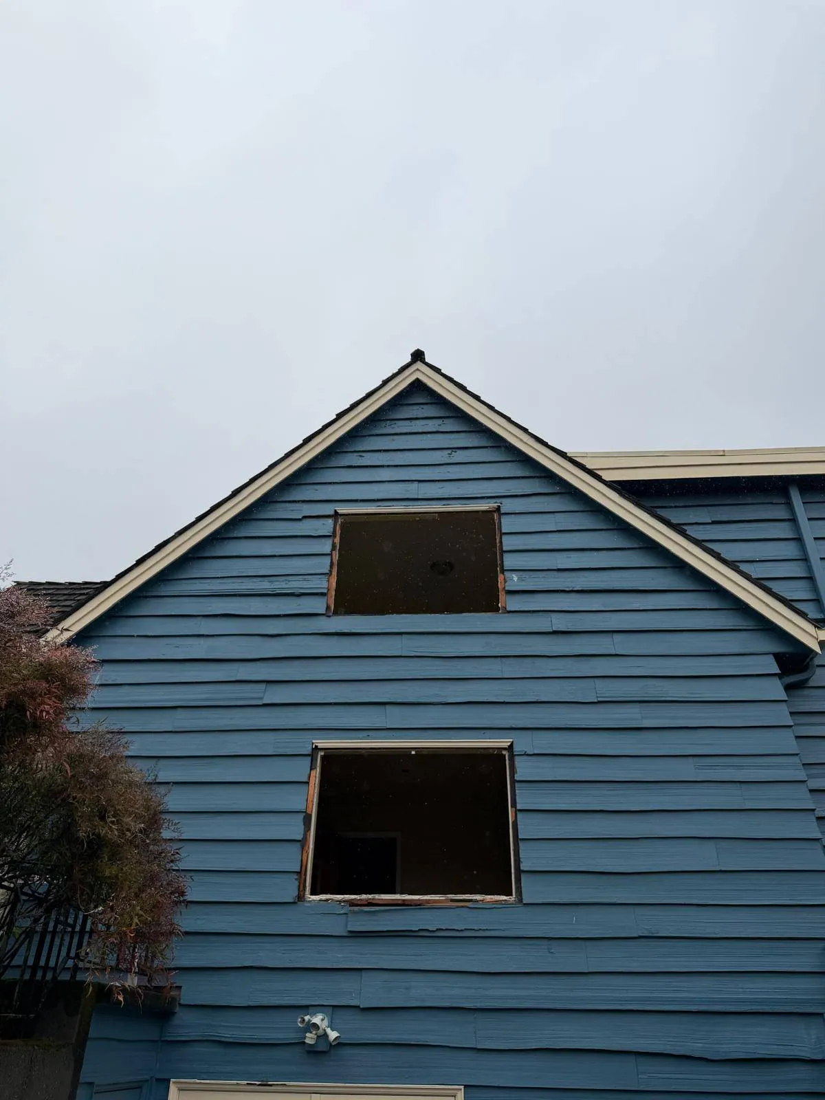 Gallery image 25