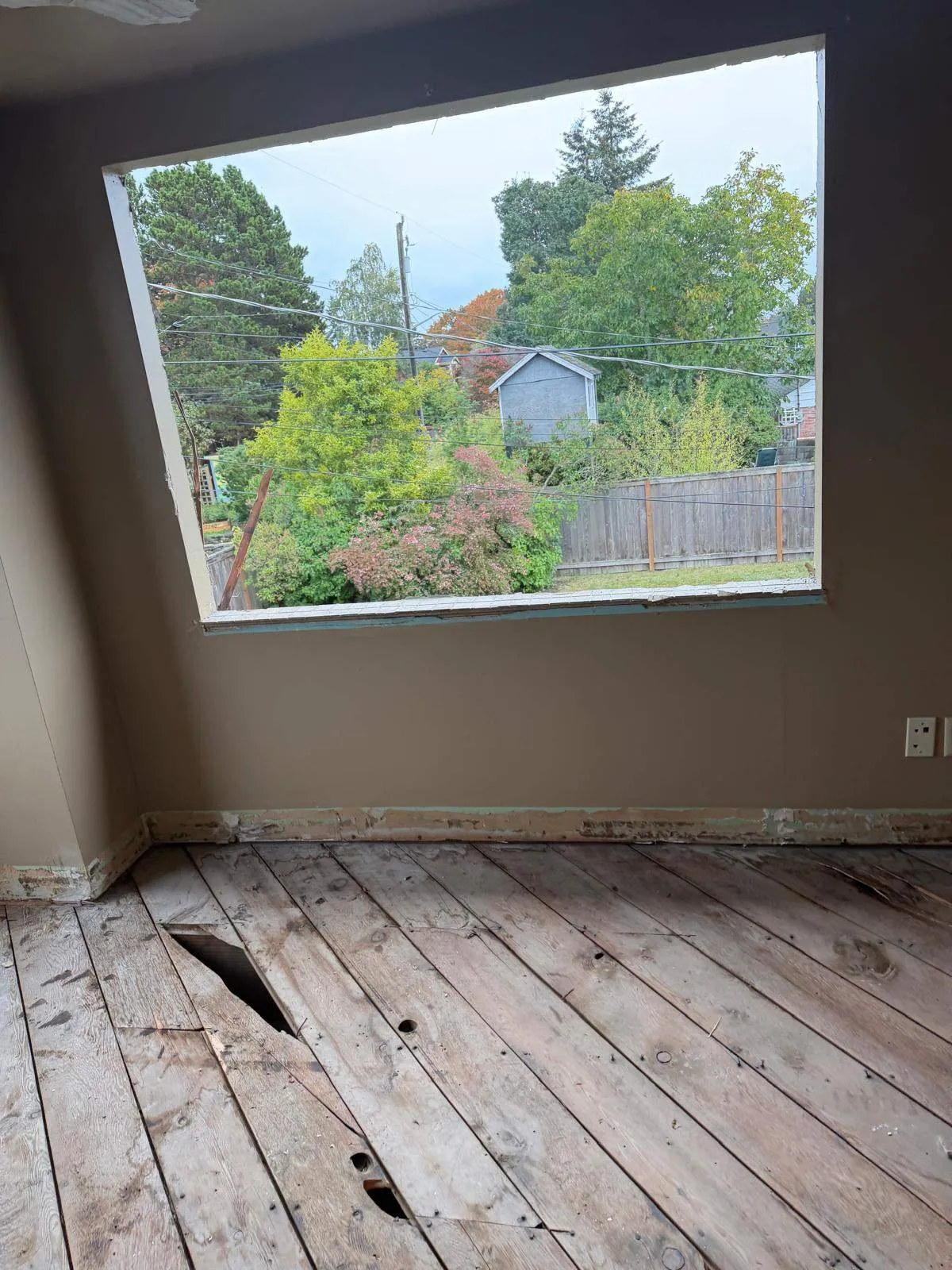 Gallery image 36