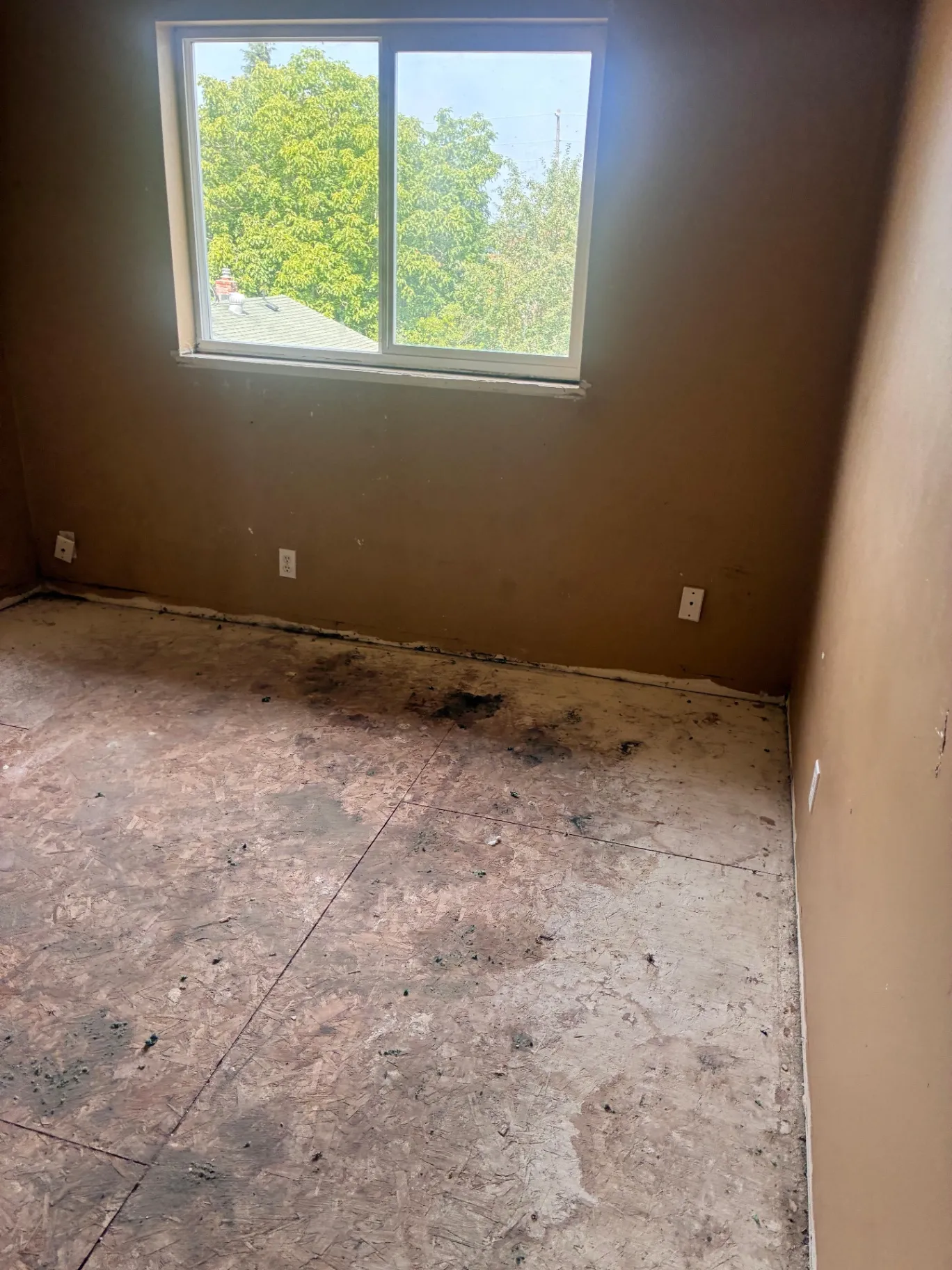 Floor tile & mastic removal