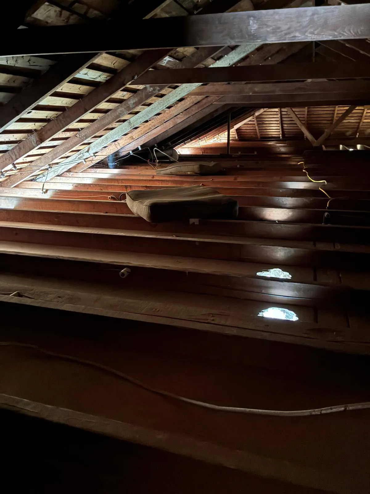 Insulation removal