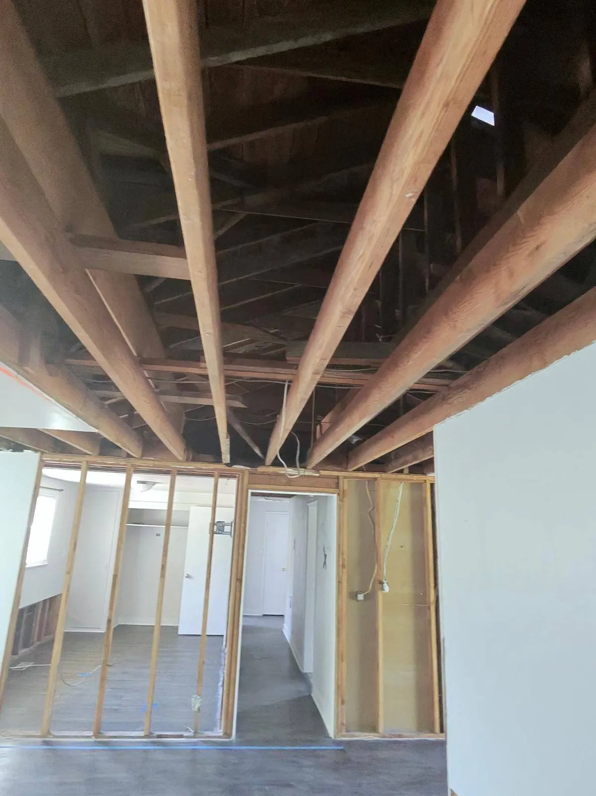 Gallery image 13