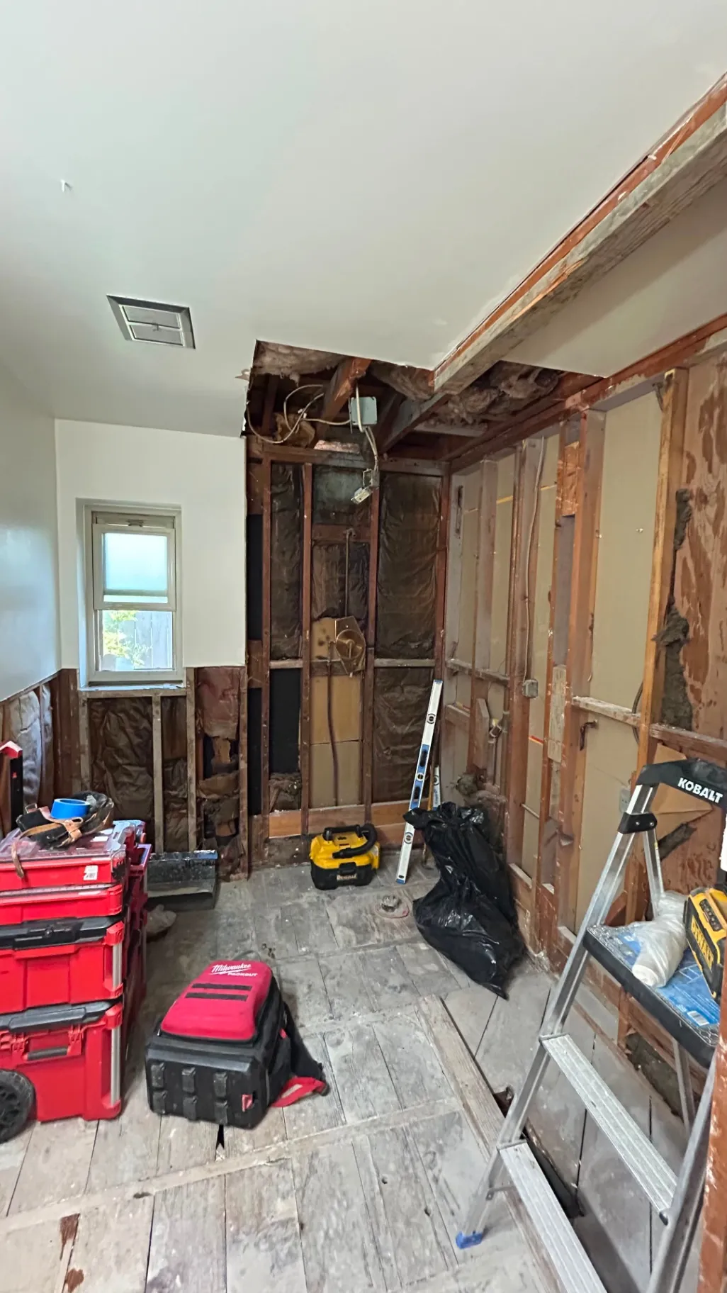 Gallery image 11
