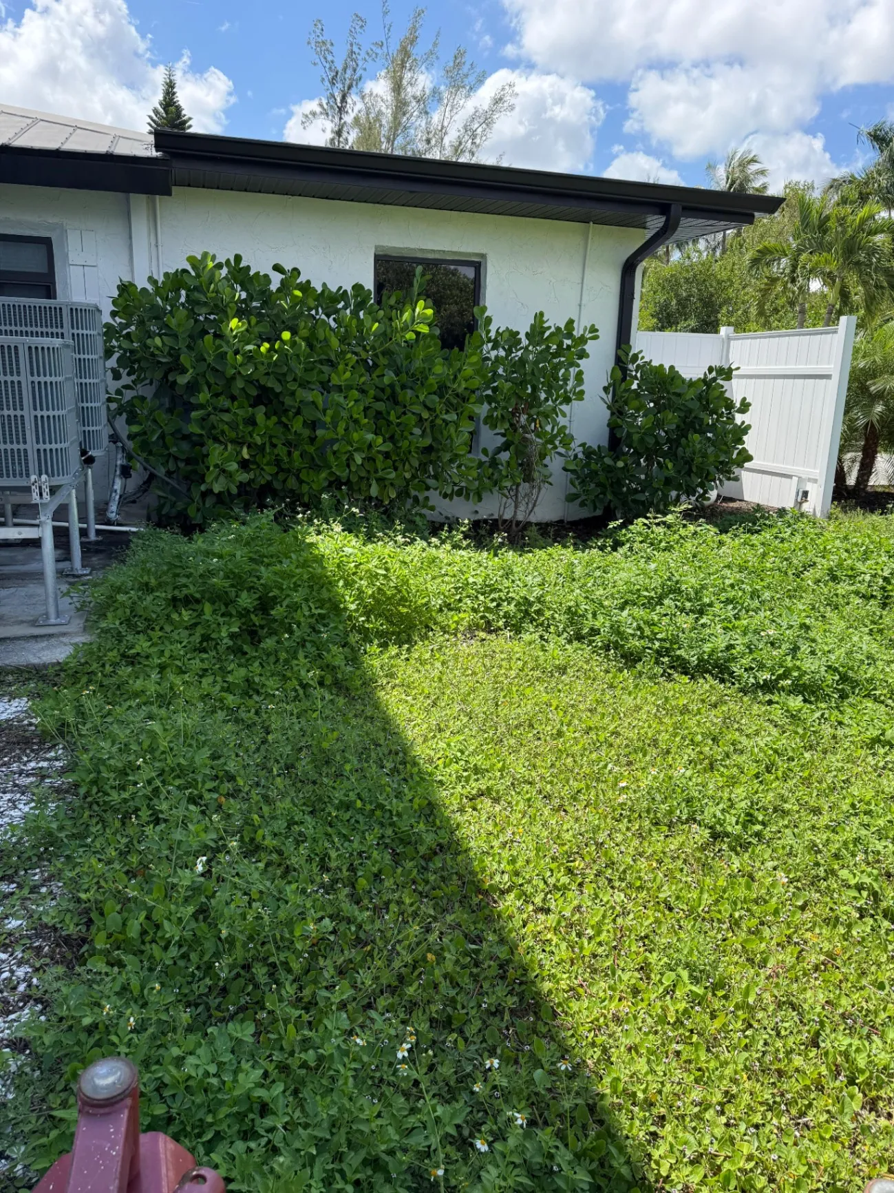 Gallery image 14