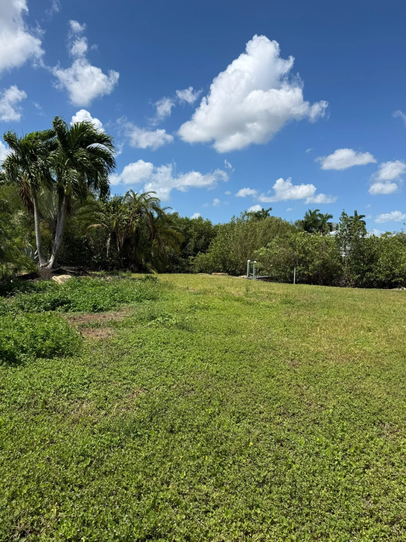 Gallery image 16