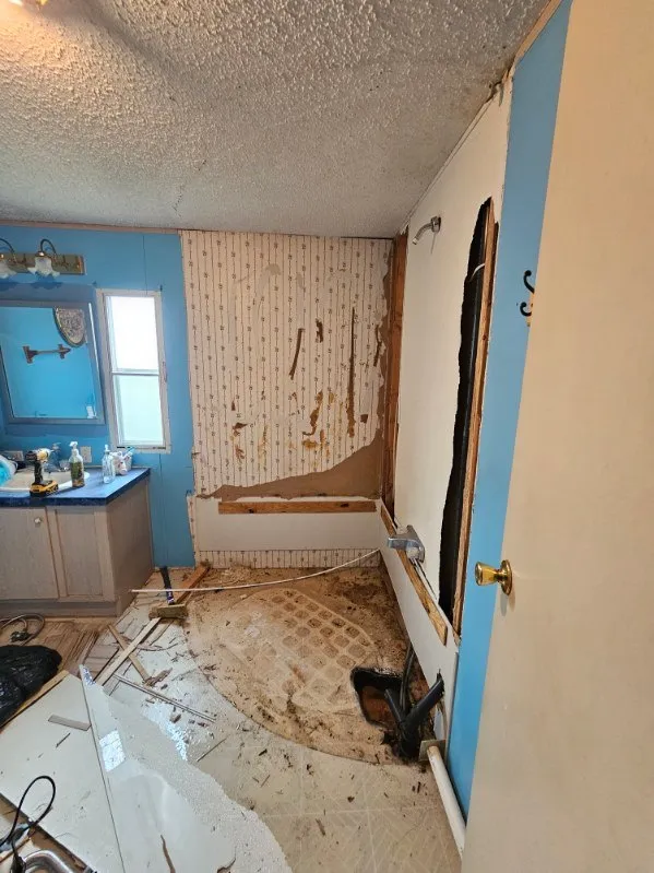 Gallery image 0