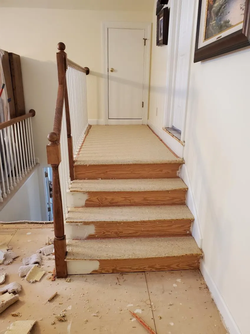 Gallery image 7