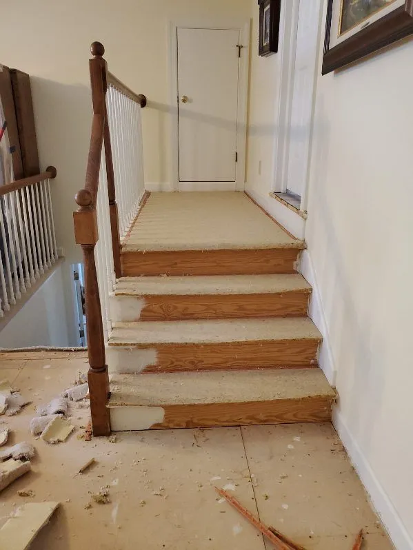 Gallery image 8