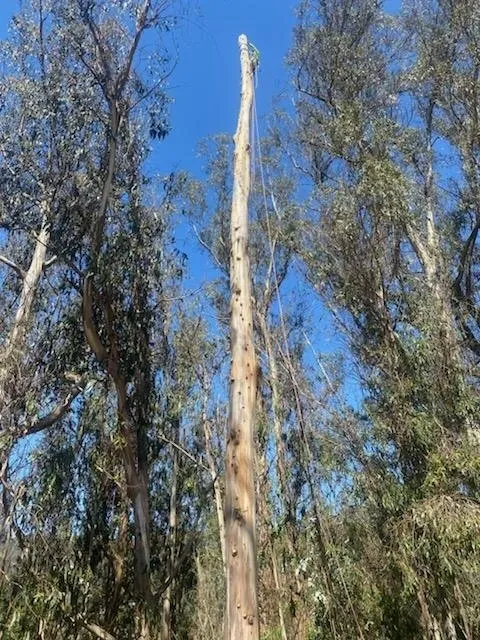 Gallery image 27