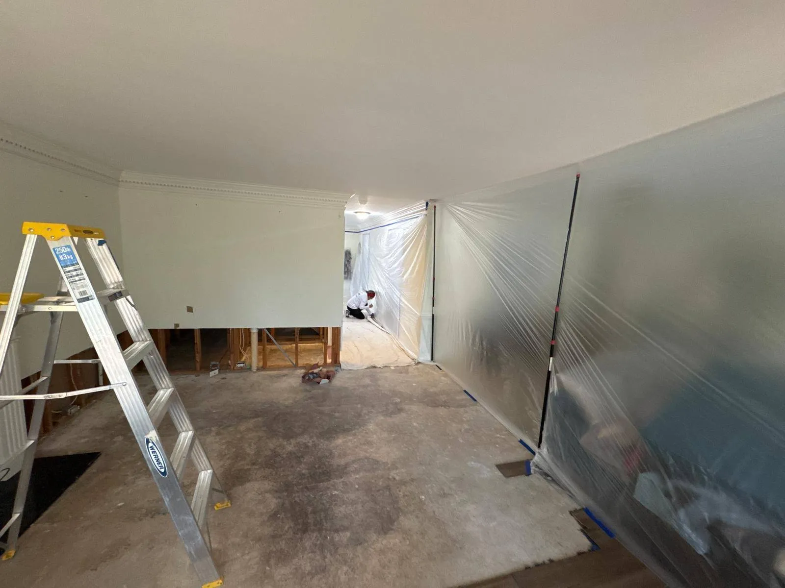 Gallery image 10