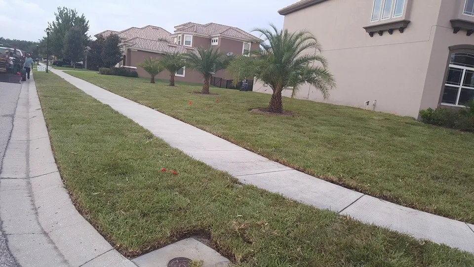 Gomez Lawn & Tree Service Maintenance LLC