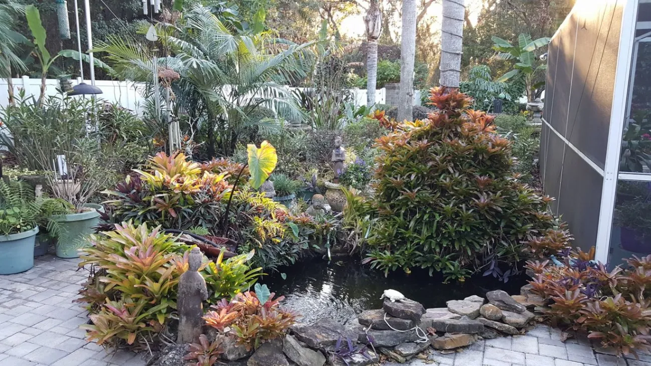 Gallery image 41