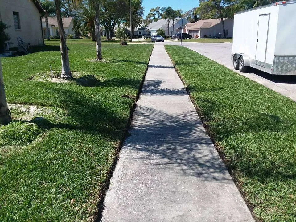 Gallery image 48