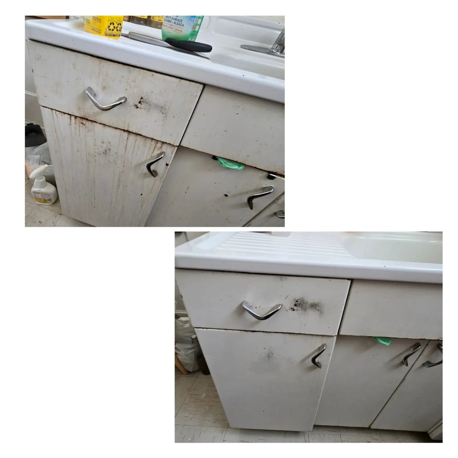 Gallery image 24
