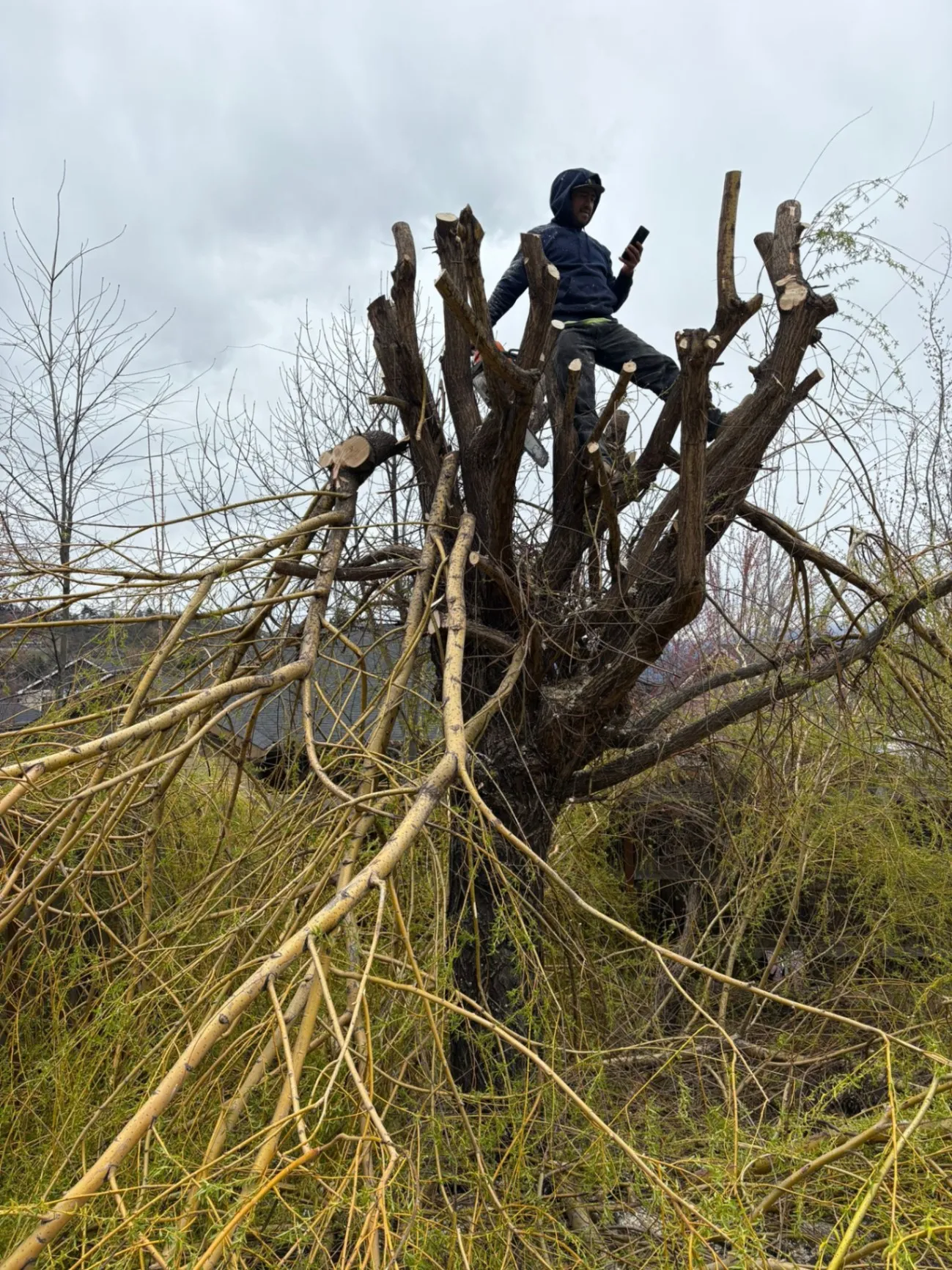 J Ramirez Landscape Maintenance LLC