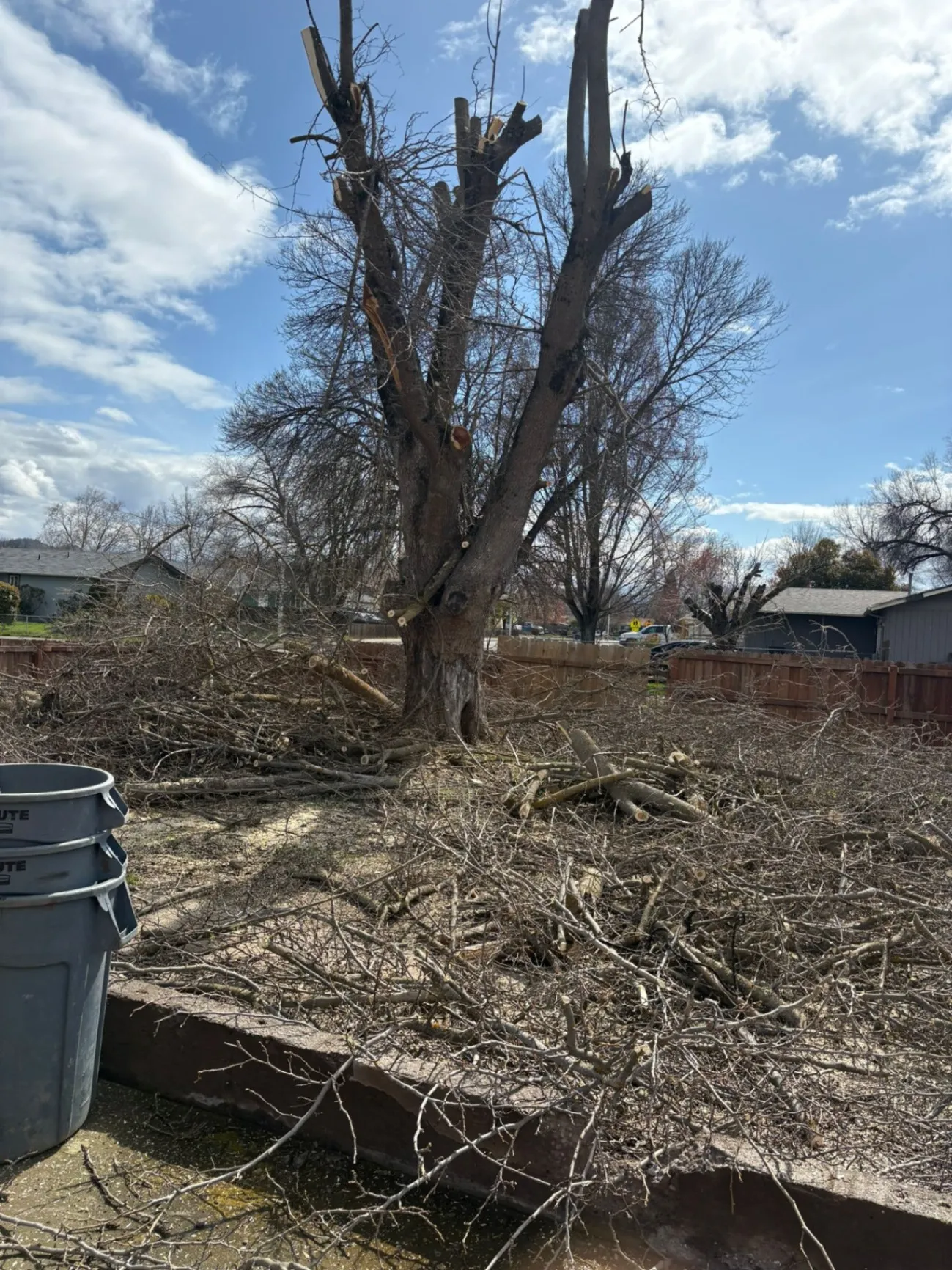J Ramirez Landscape Maintenance LLC
