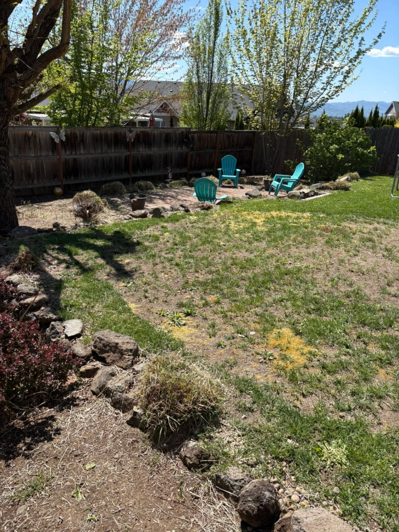 Gallery image 11