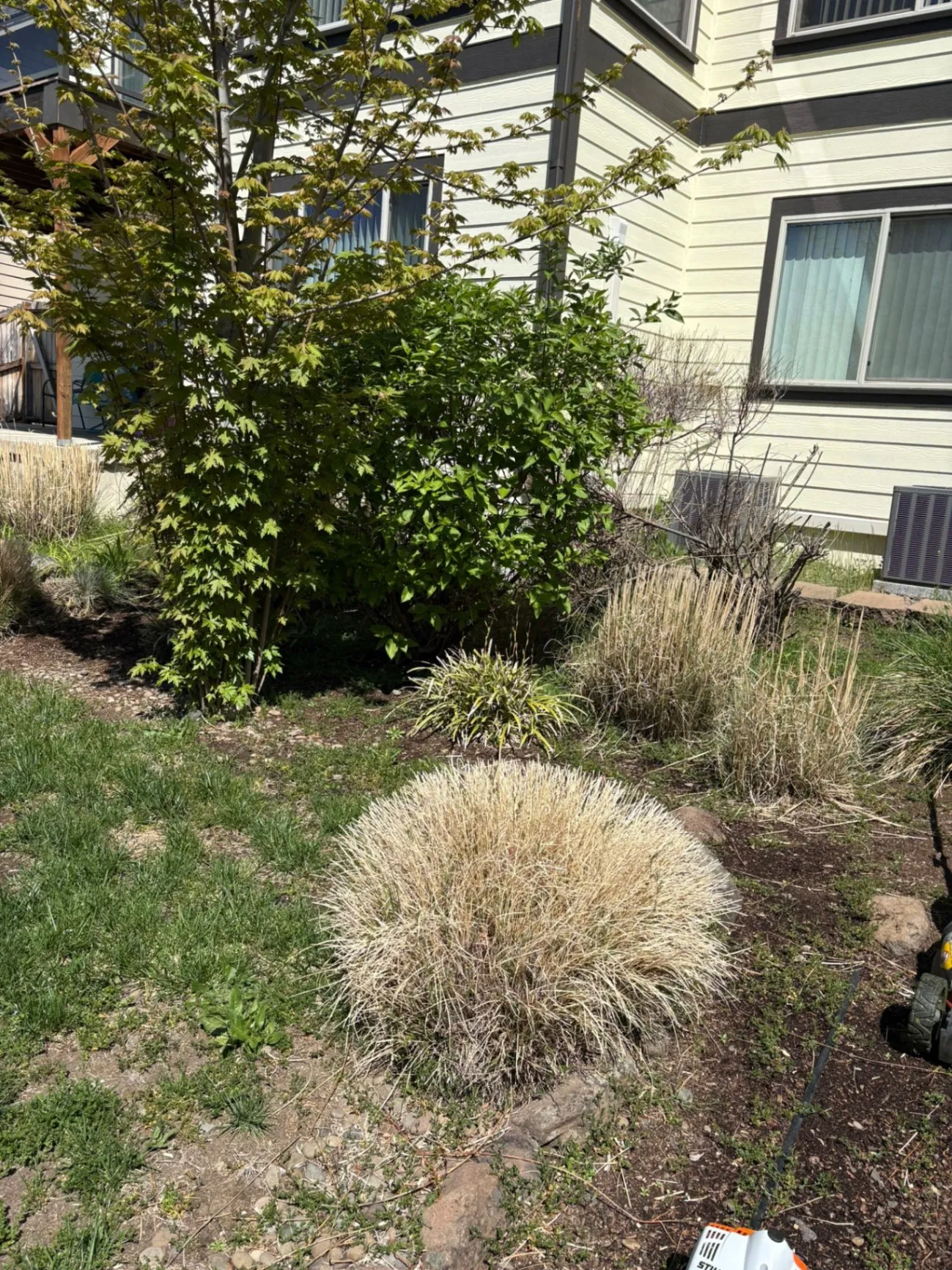 Gallery image 13