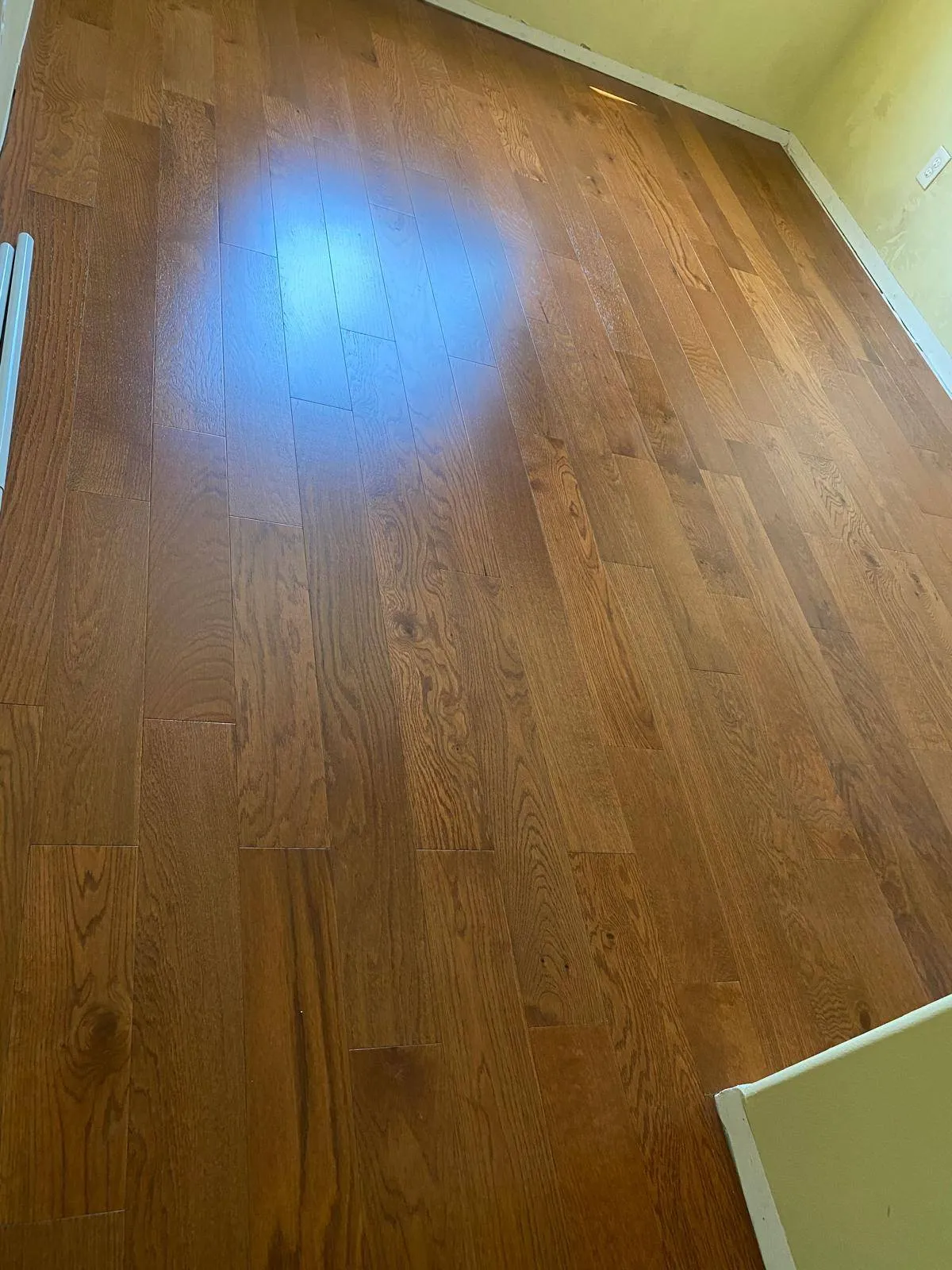Gallery image 11