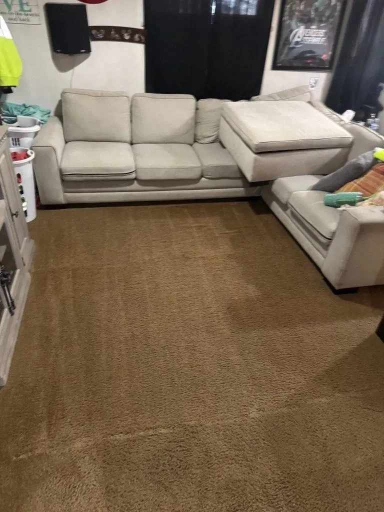 Gallery image 59