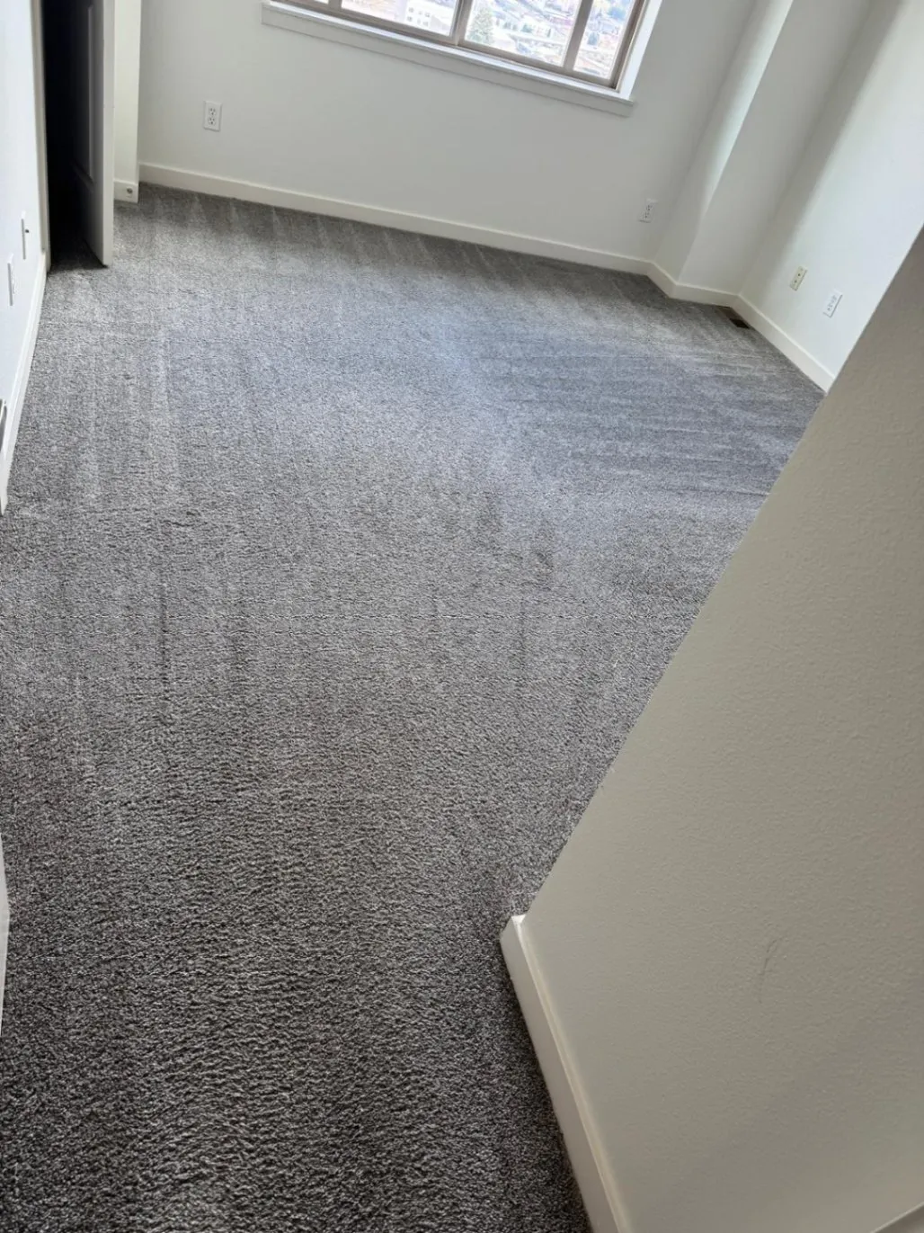 Mp Carpet Cleaning Maintenance LLC