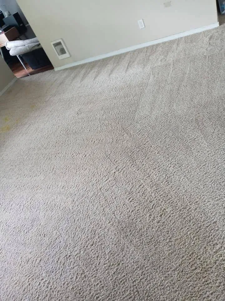 Mp Carpet Cleaning Maintenance LLC