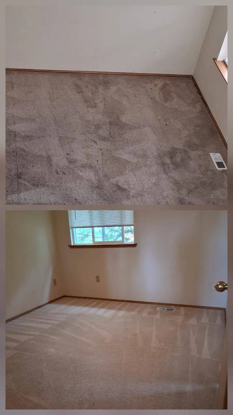 Mp Carpet Cleaning Maintenance LLC