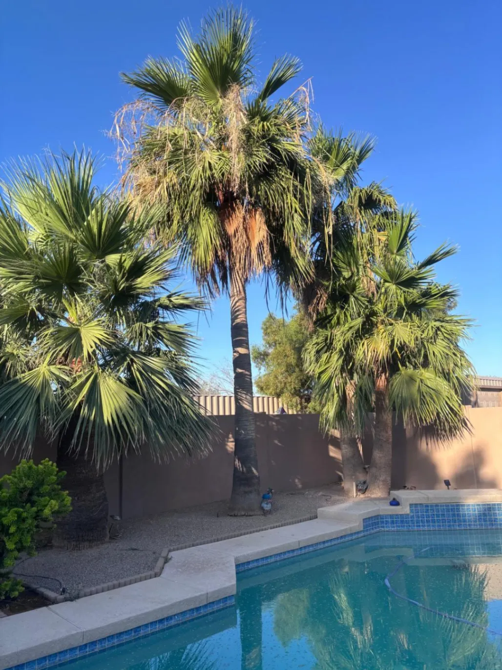 Gallery image 17