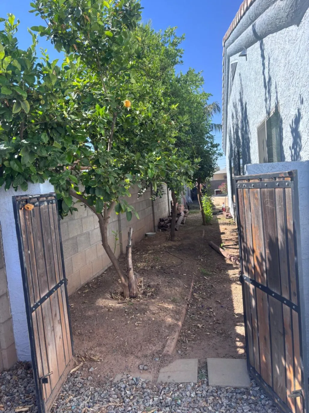 Gallery image 45