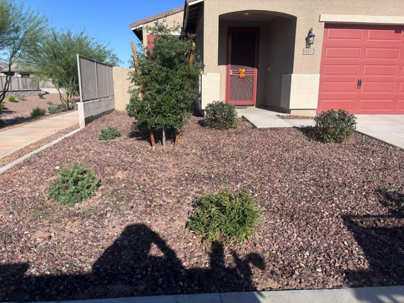 Gallery image 56