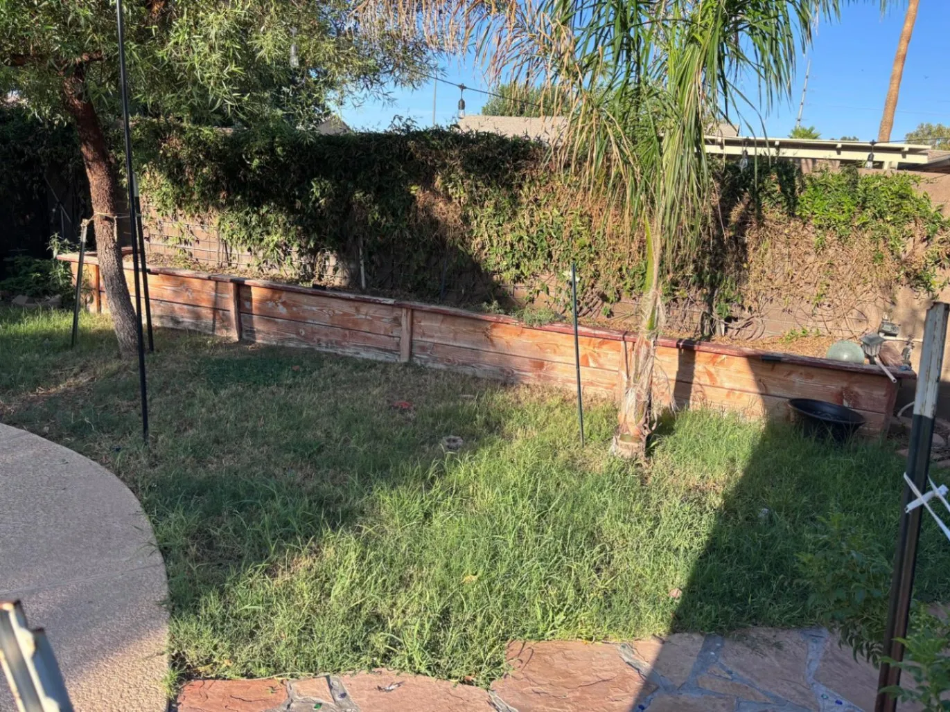 Gallery image 209