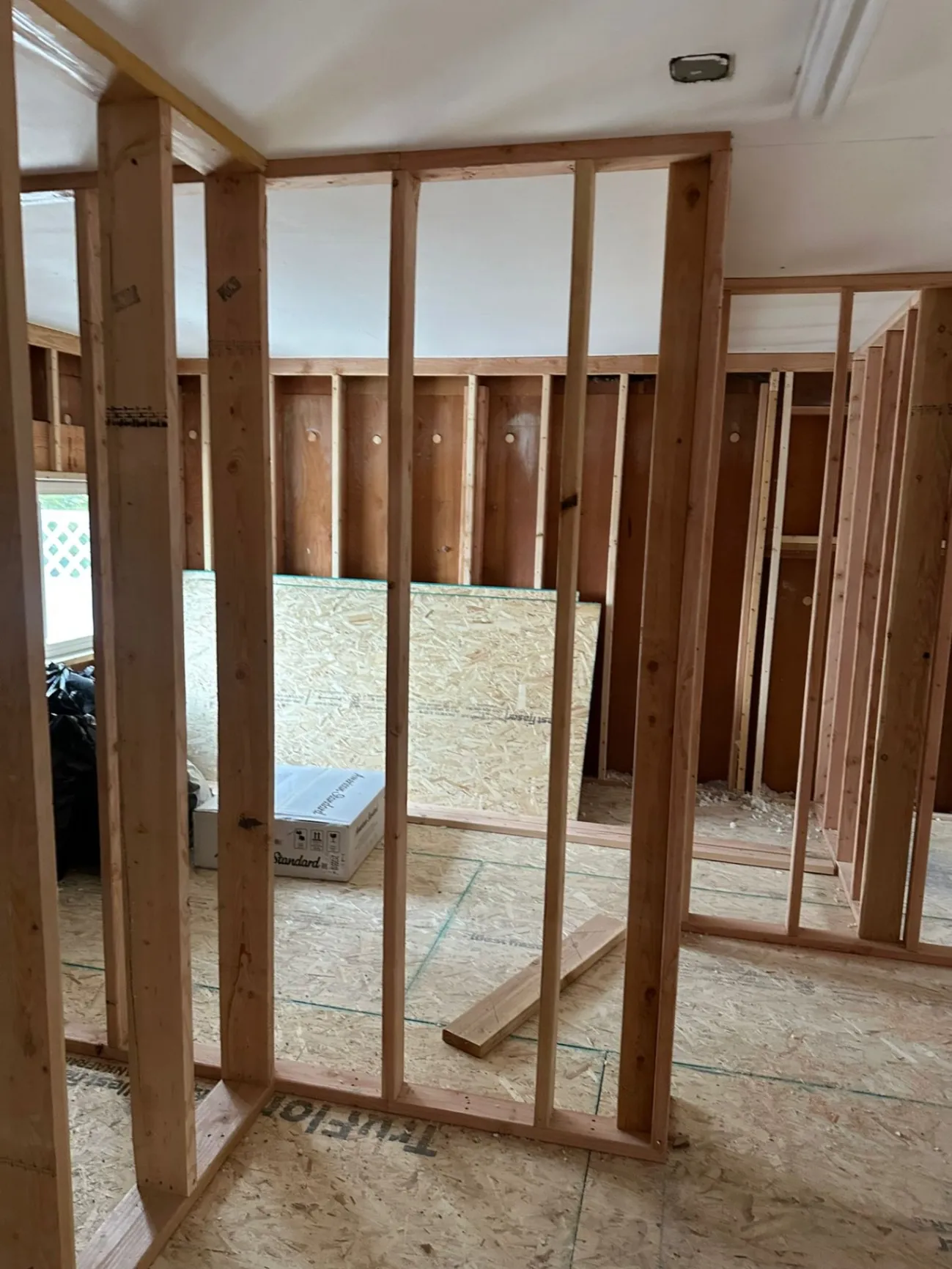 Gallery image 53