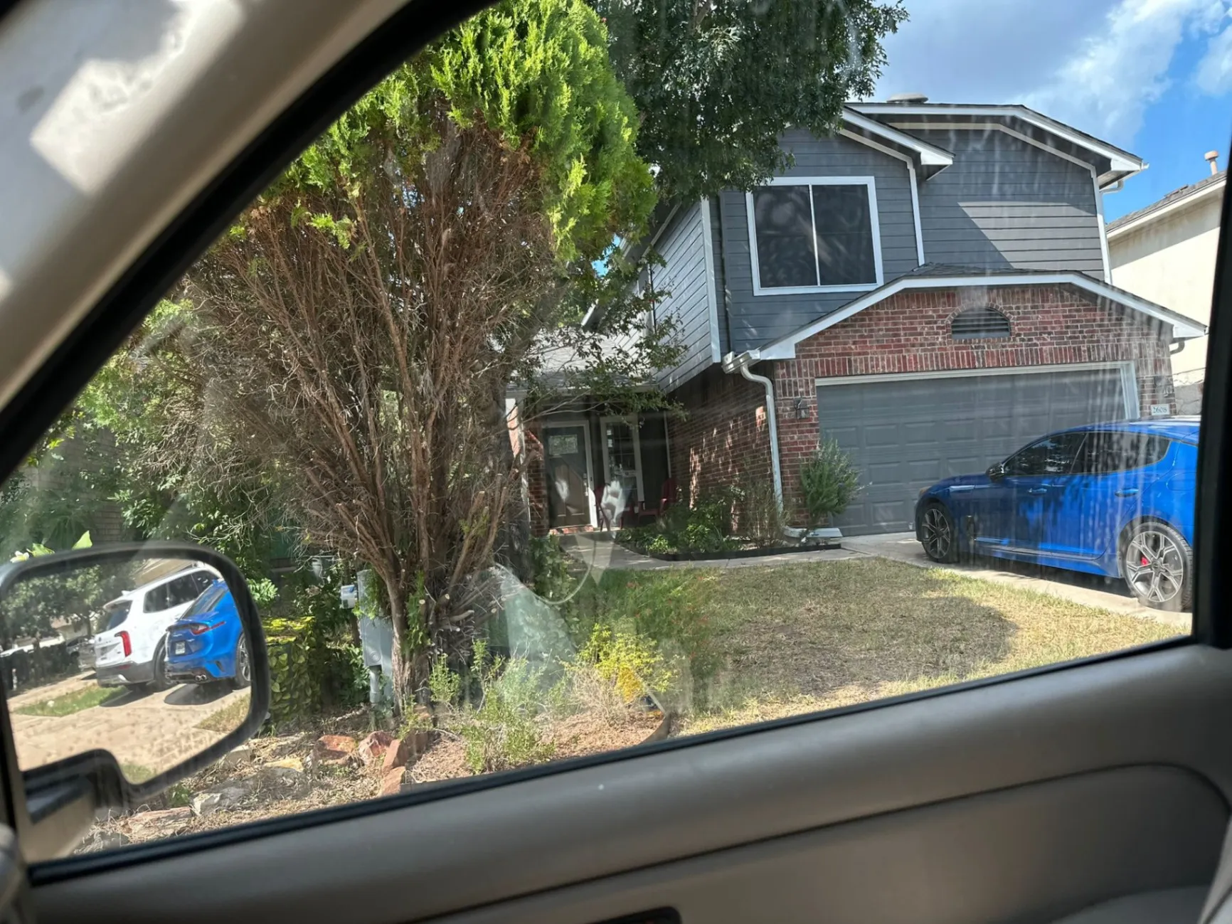 Gallery image 15