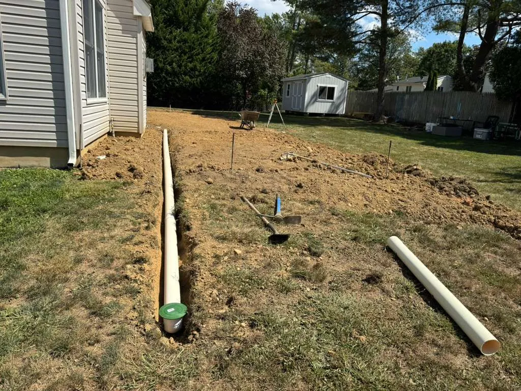 Gallery image 66