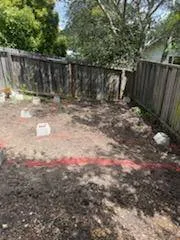 Gallery image 14