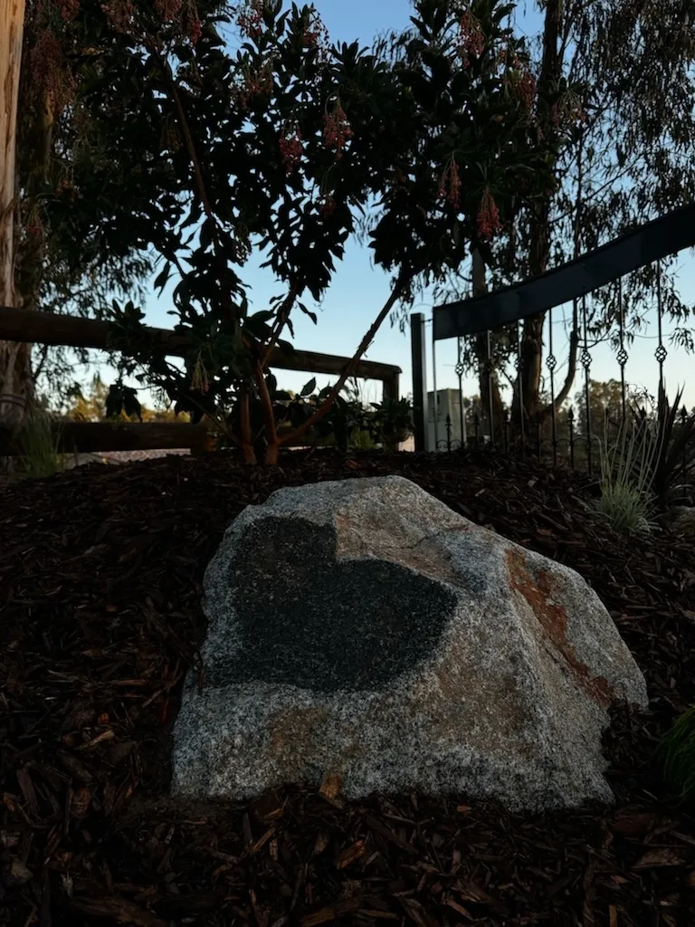 Gallery image 11