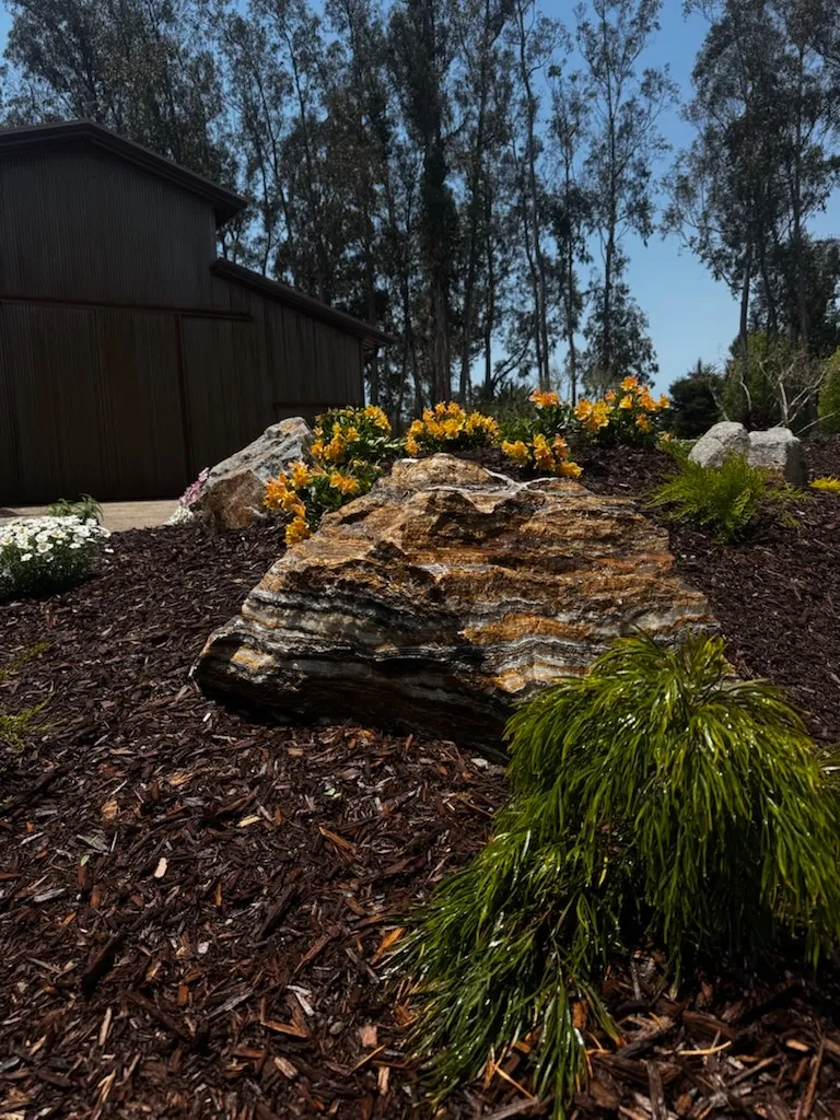 Gallery image 15