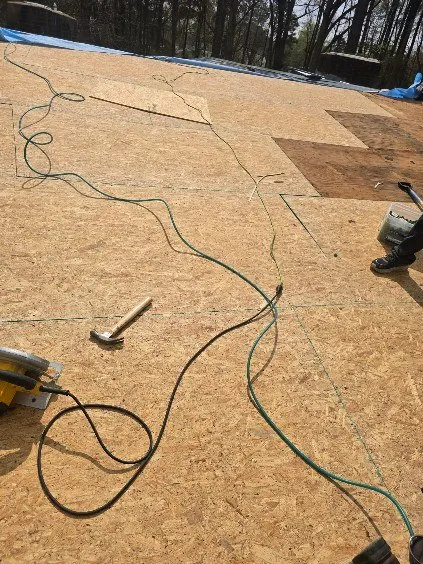 Gallery image 287
